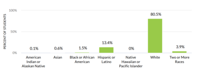 DPI Report Card 21-22 Race/Ethnicity